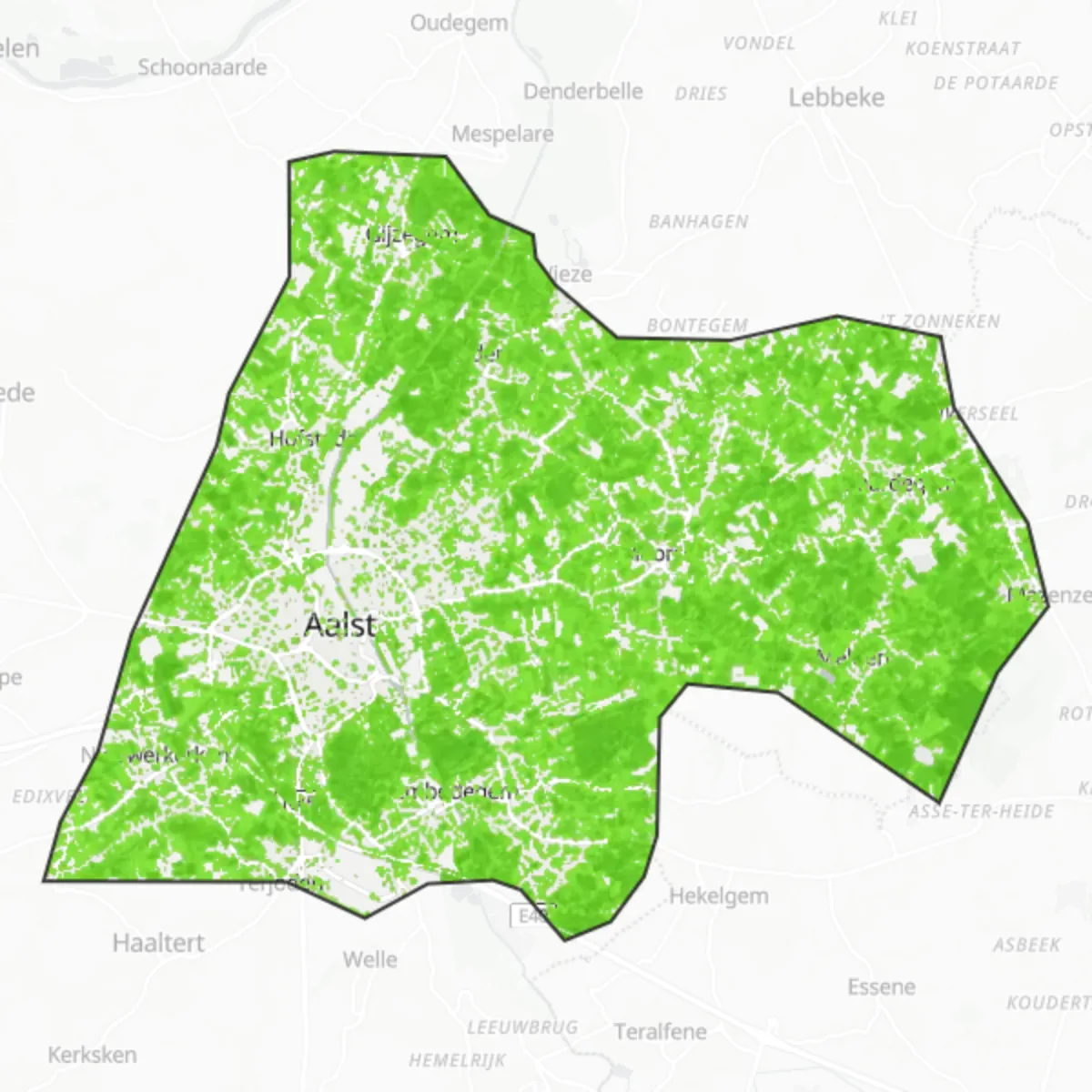 Sajf aħdar — Aalst