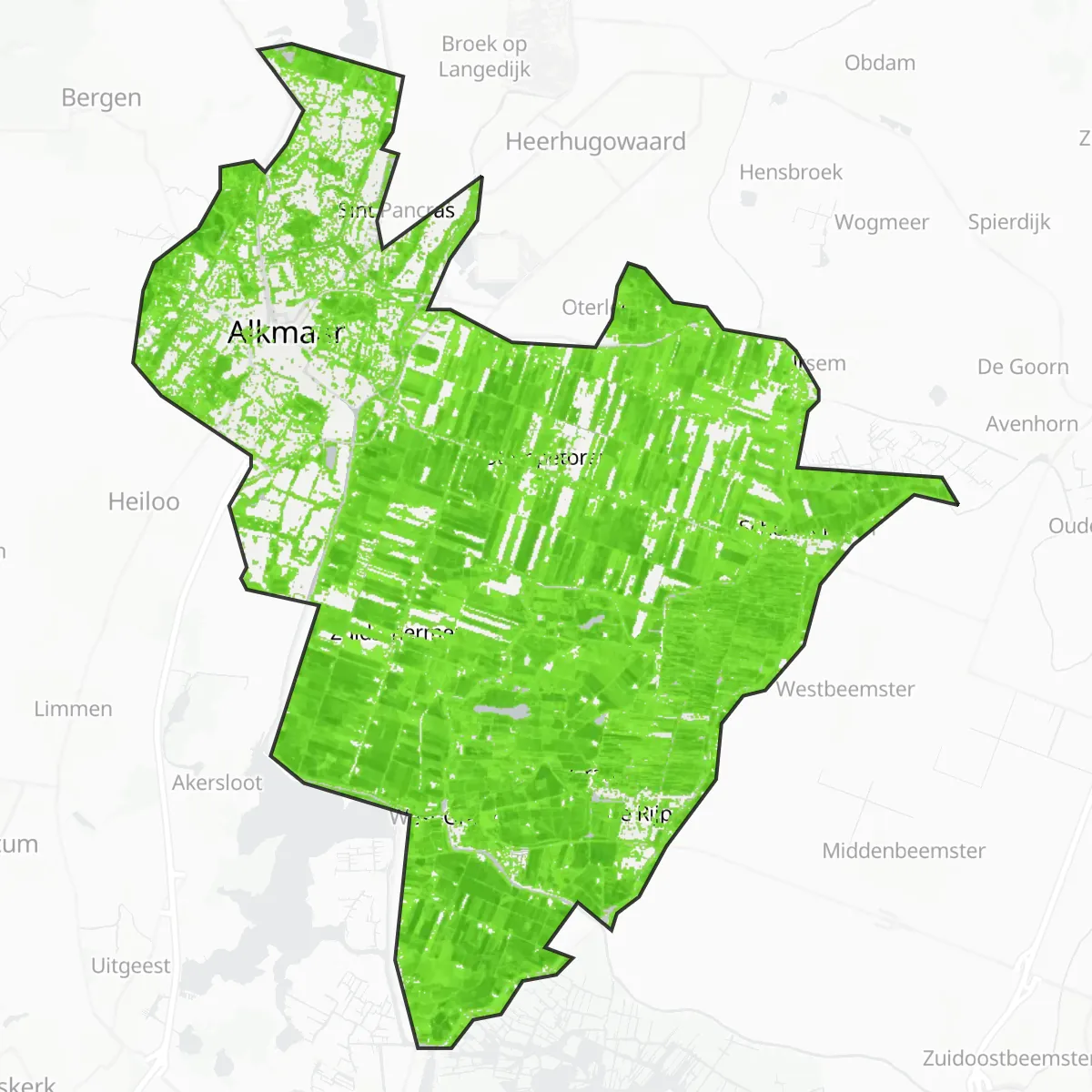 Coberta verda — Alkmaar