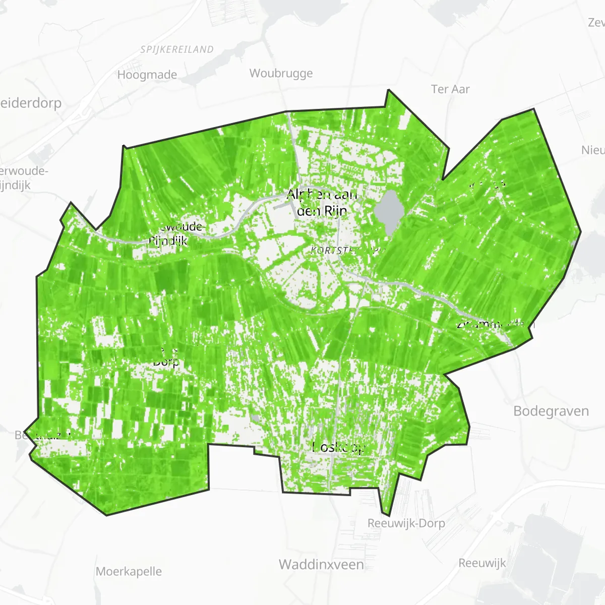 Coberta verda — Alphen aan den Rijn