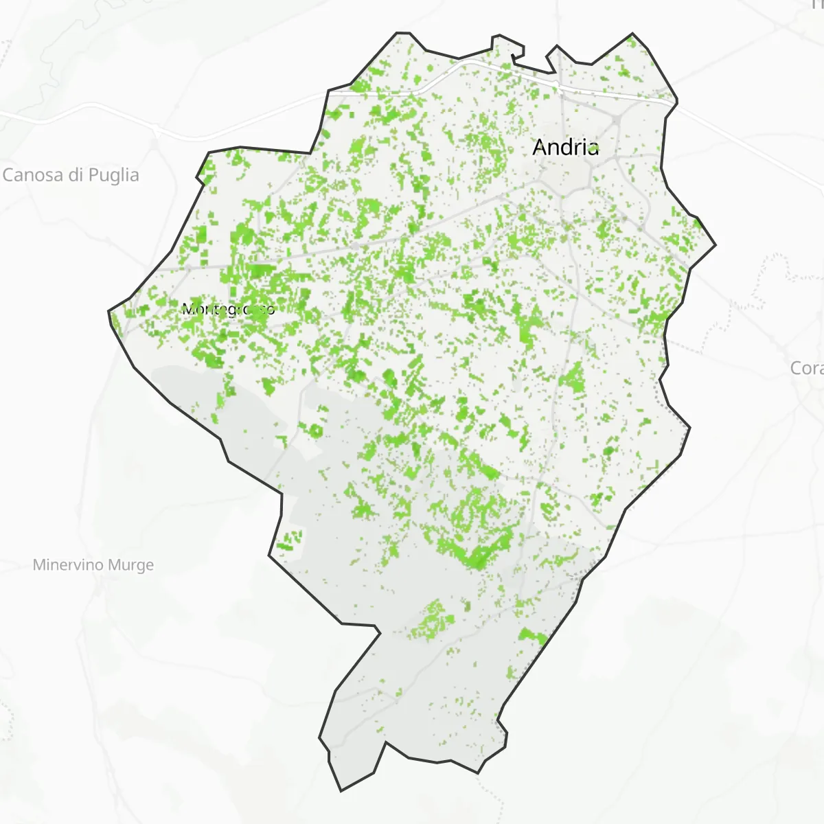 Zelený pokryv — Andria