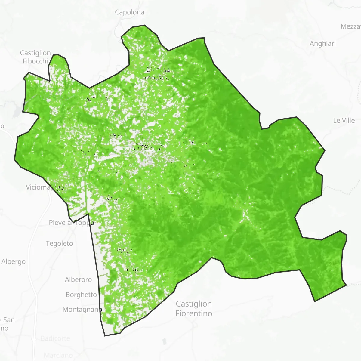 Zelený pokryv — Arretium