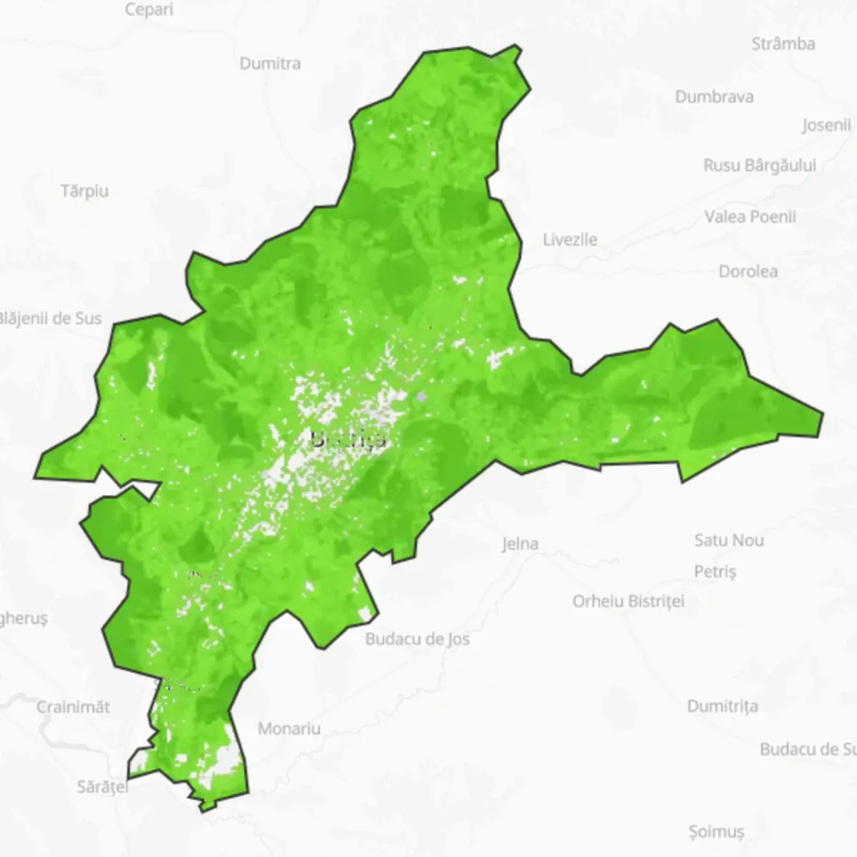 Zelený pokryv — Bistriţa