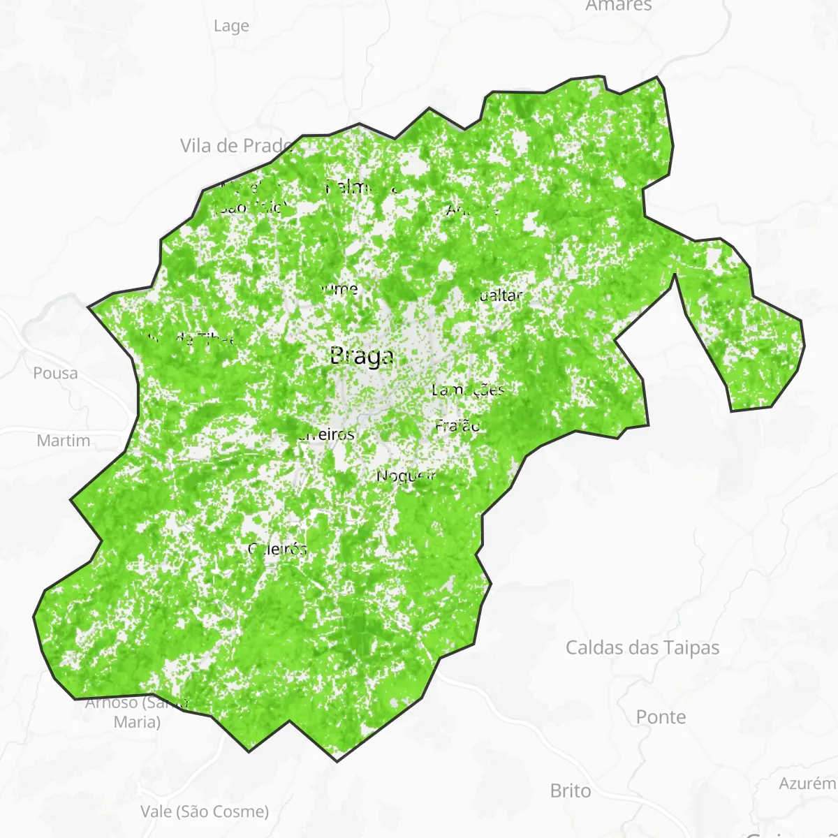 Zieleń — Braga