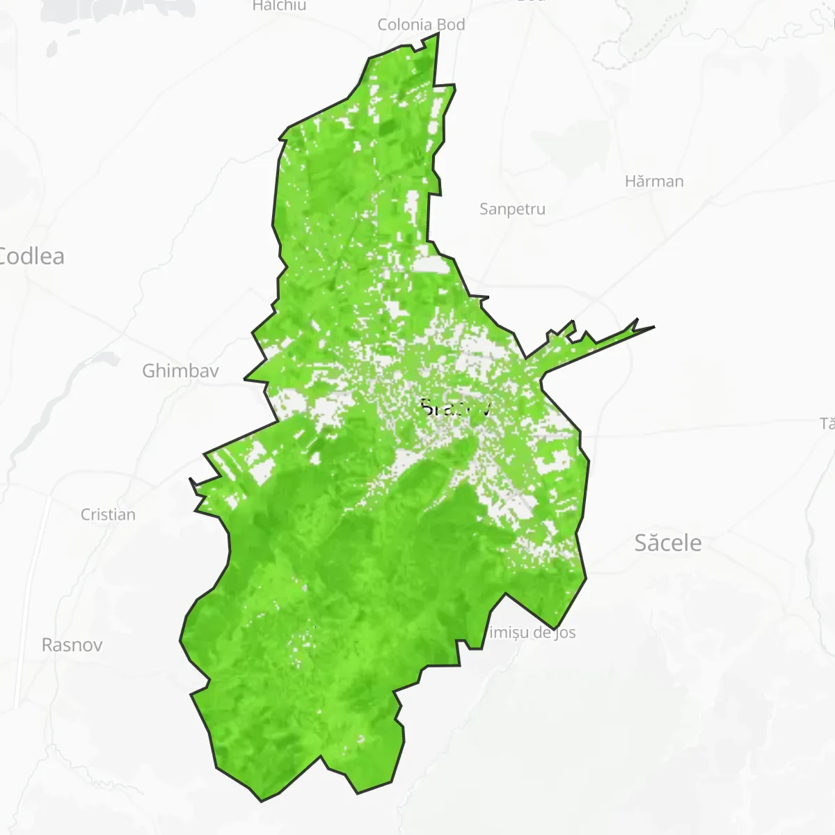 Zieleń — Braşov