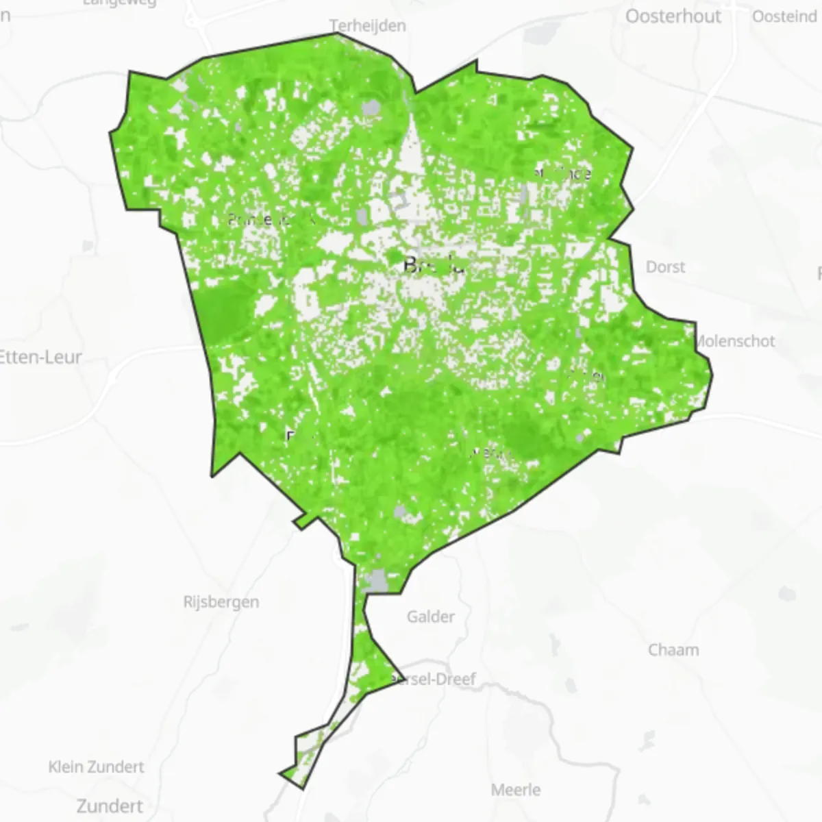 Copertura verde — Breda