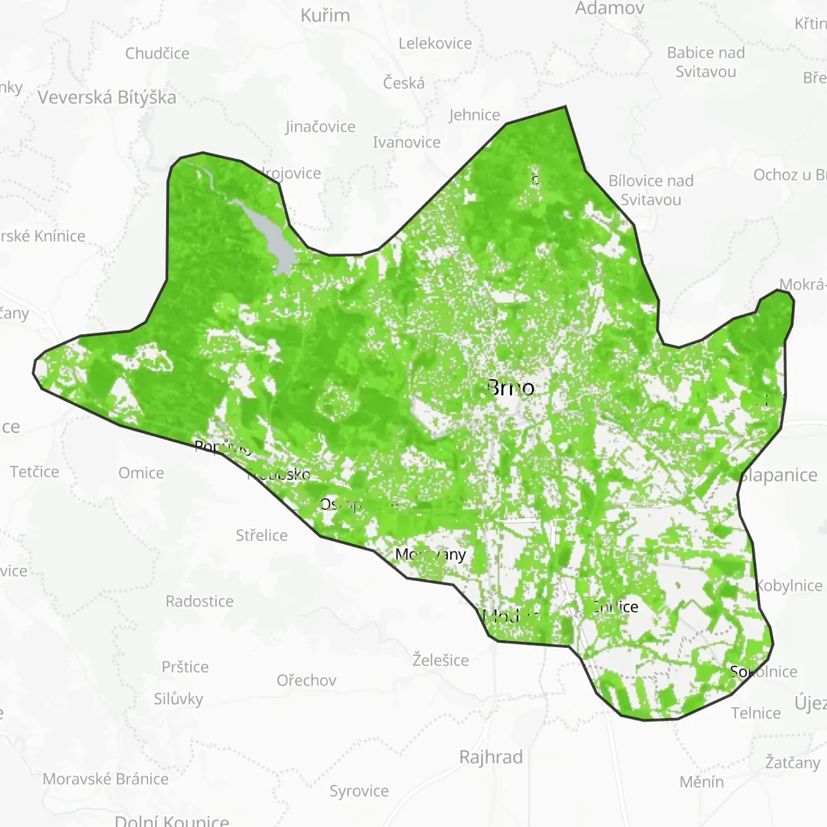 Sajf aħdar — Brno