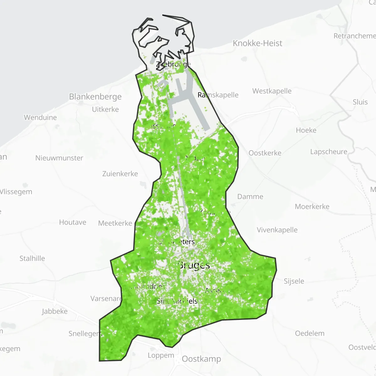 Zelený pokryv — Bruggy