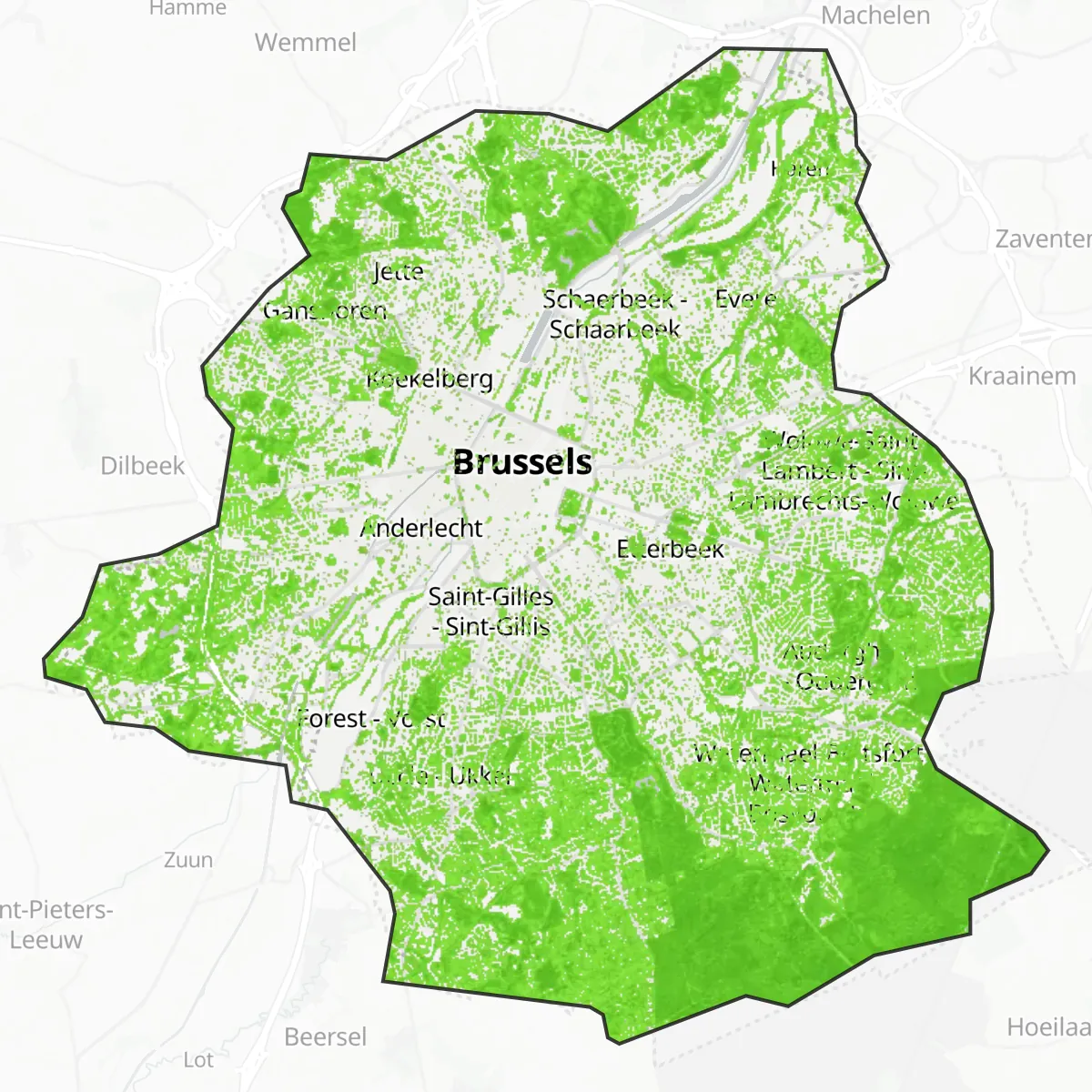 Copertura verde — Bruxelles