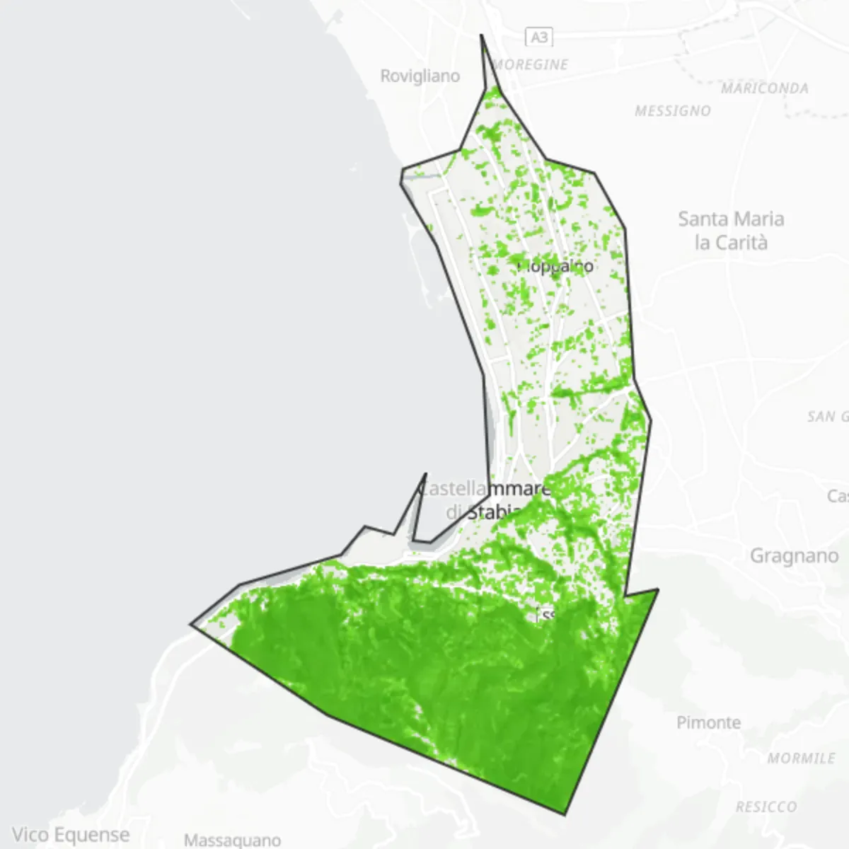 Coberta verda — Estàbia