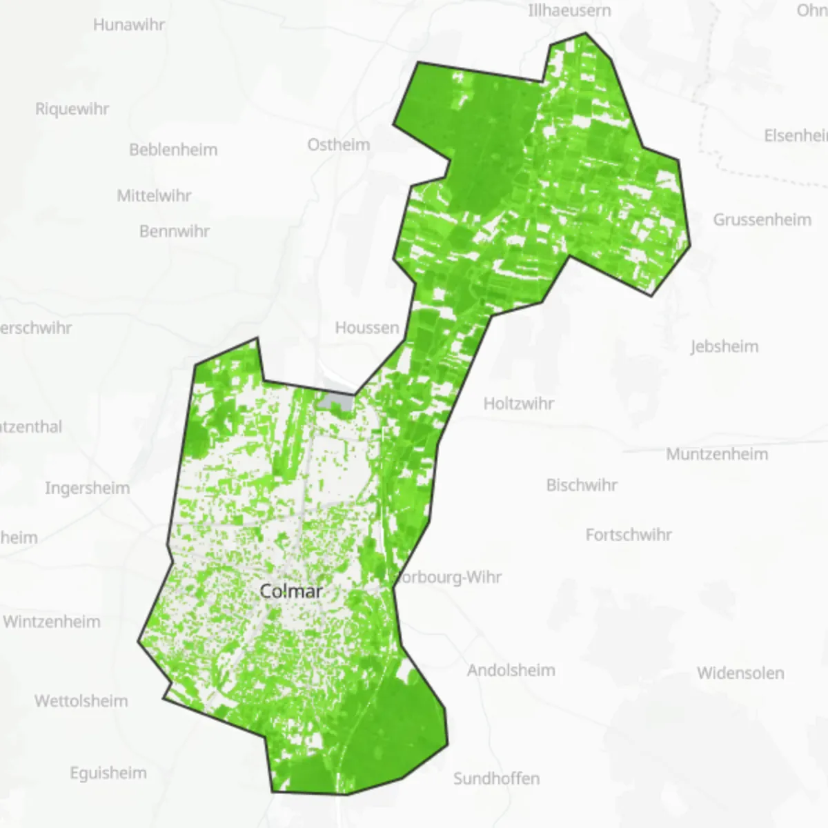Copertura verde — Colmar