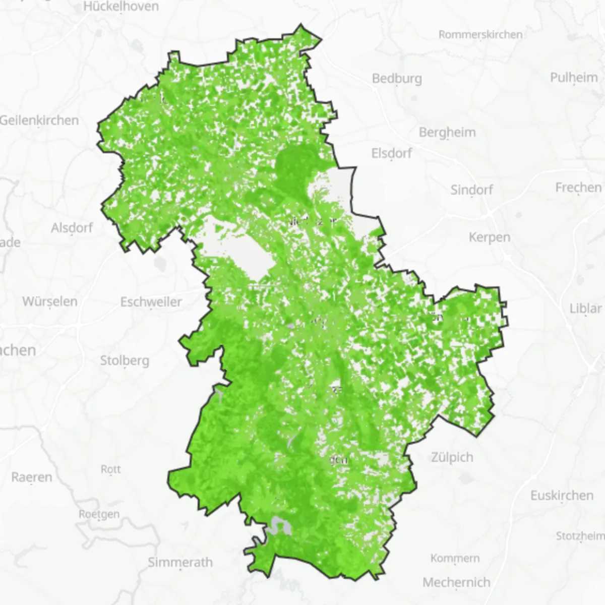 Grønt dække — Düren