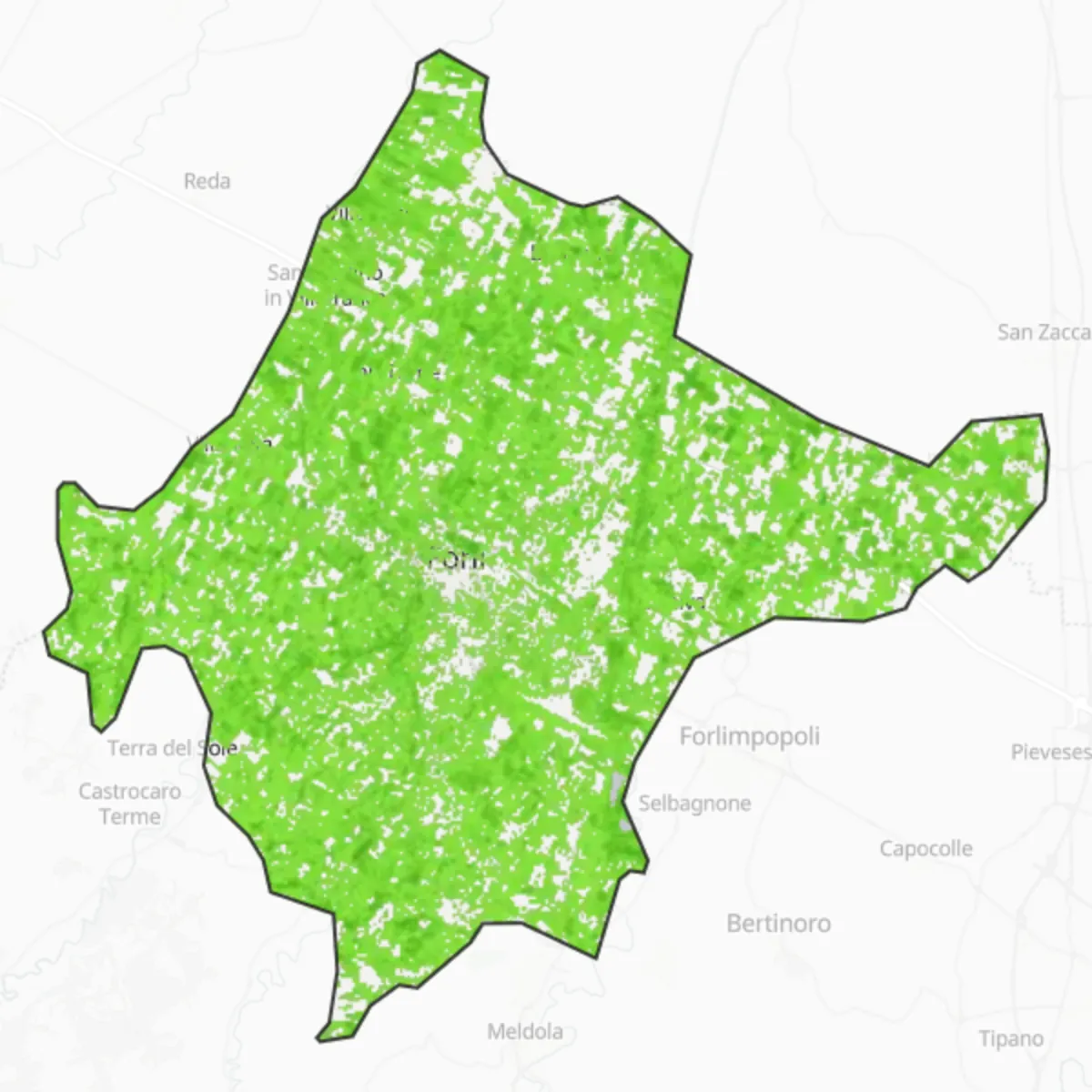 Coberta verda — Forlì