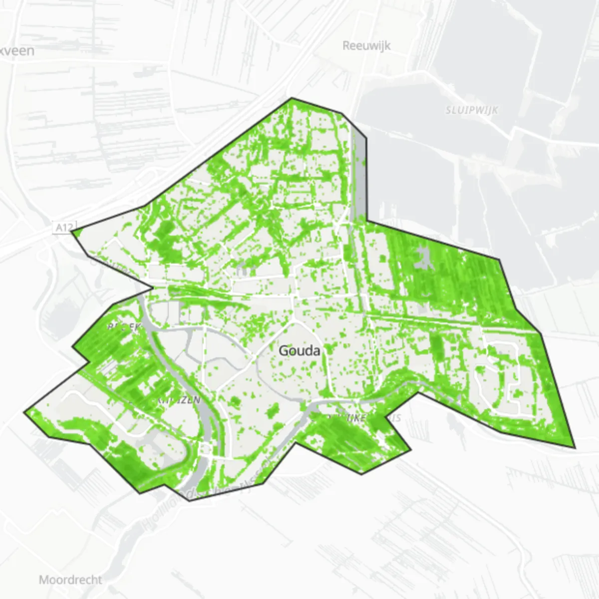 Zieleń — Gouda