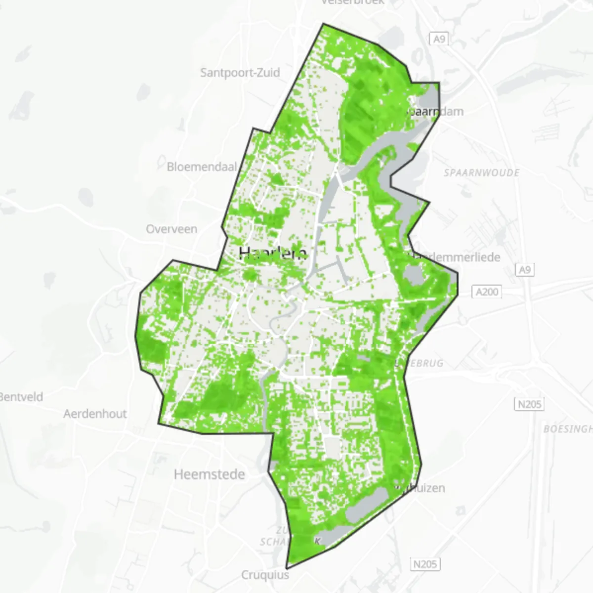 Copertura verde — Haarlem