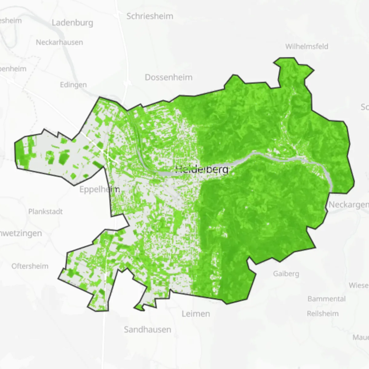 Zieleń — Heidelberg