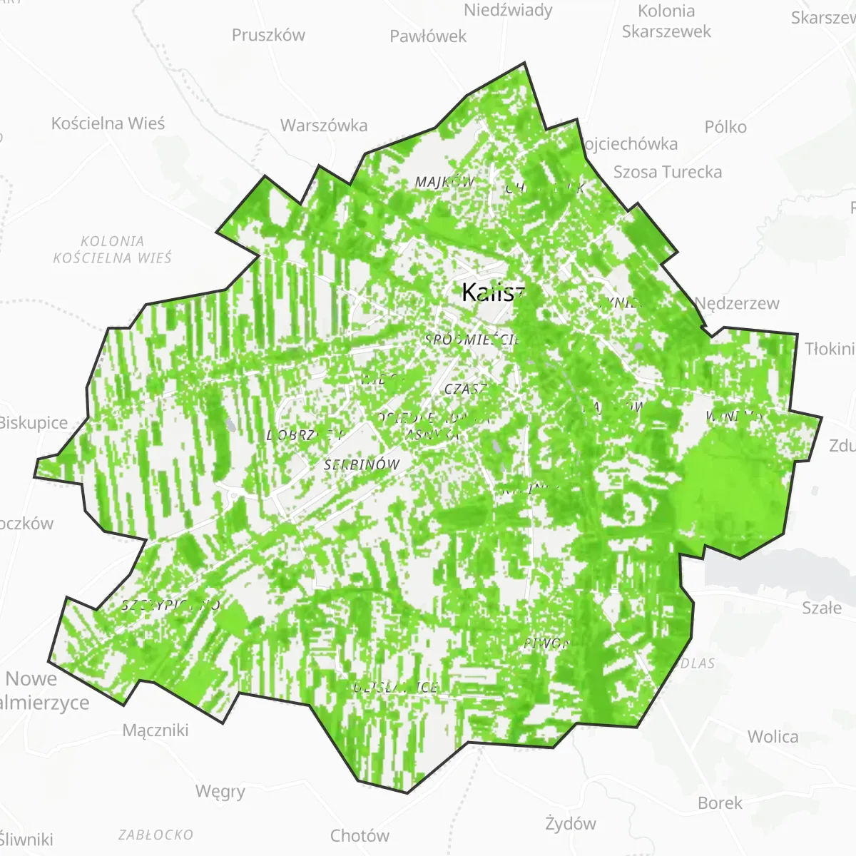 Coberta verda — Kalisz