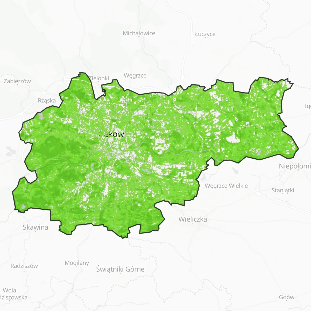 Sajf aħdar — Krakovja