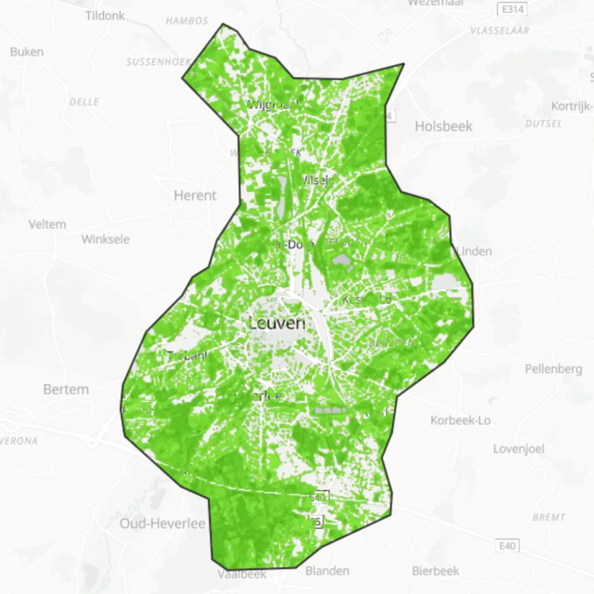 Coberta verda — Lovaina