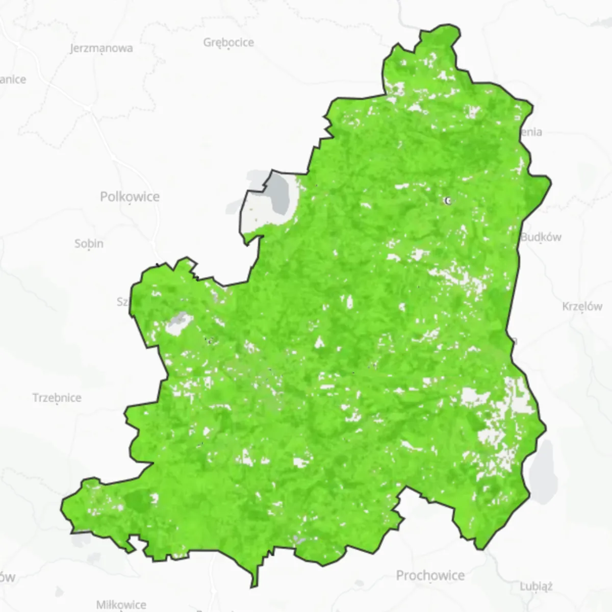 Grønt dække — Lubin