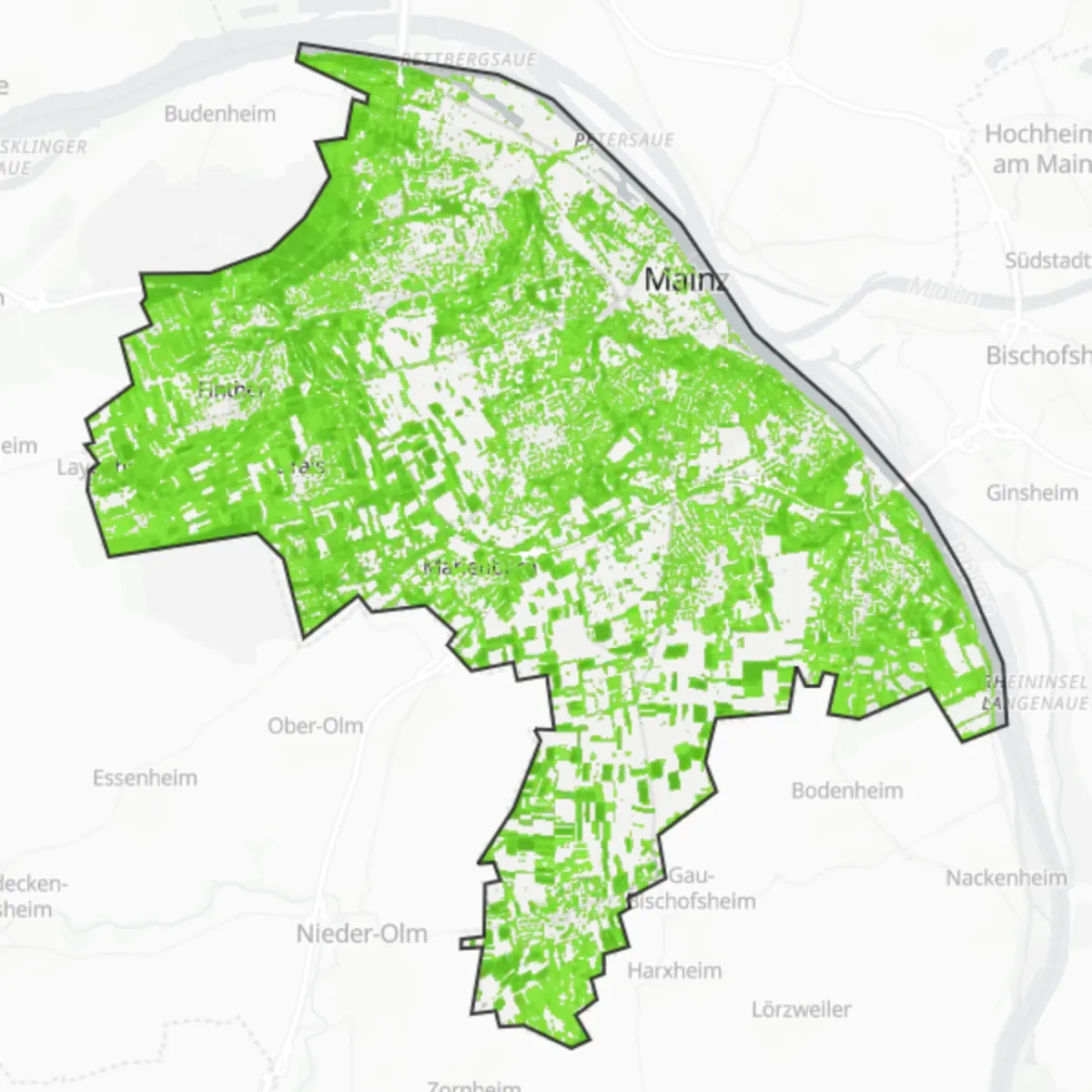 Grønt dække — Mainz