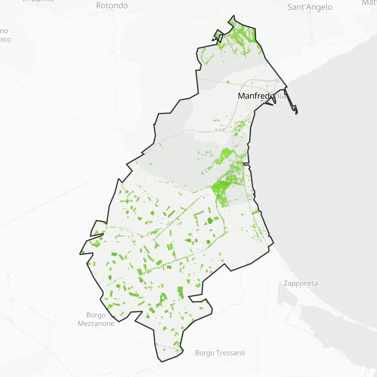Grønt dække — Manfredonia