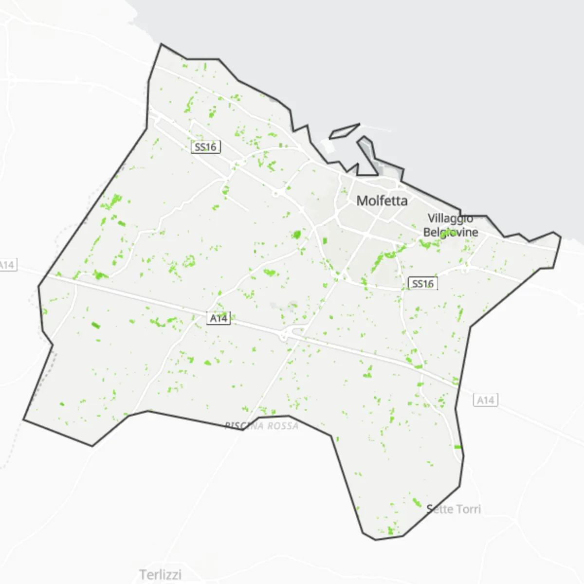 Žaluma — Molfetta