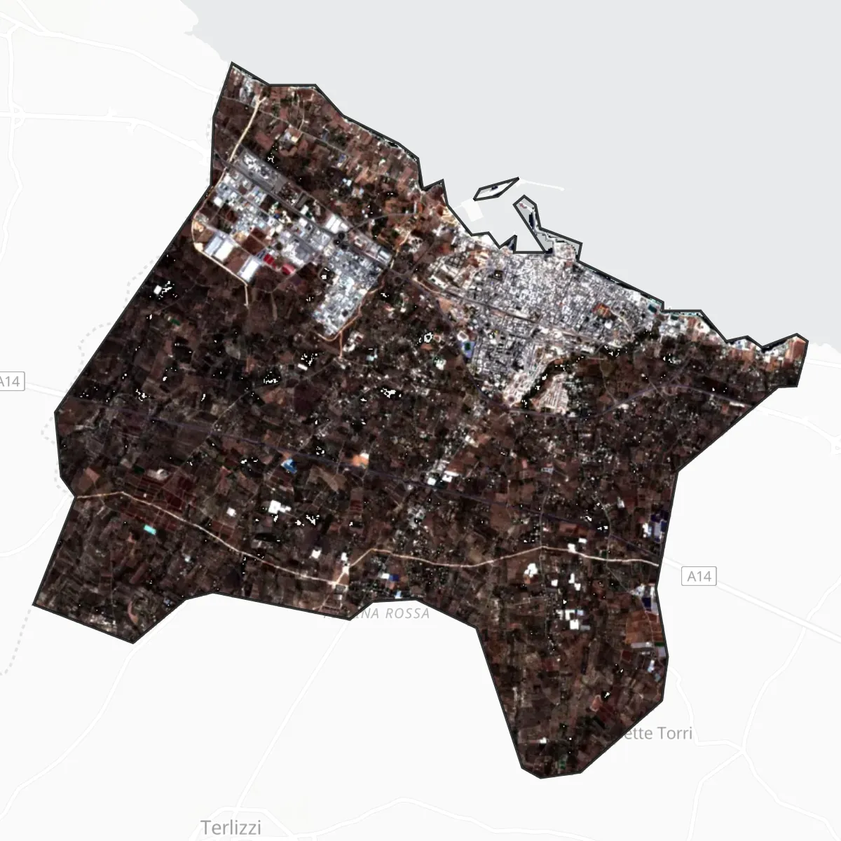 Palydovas — Molfetta