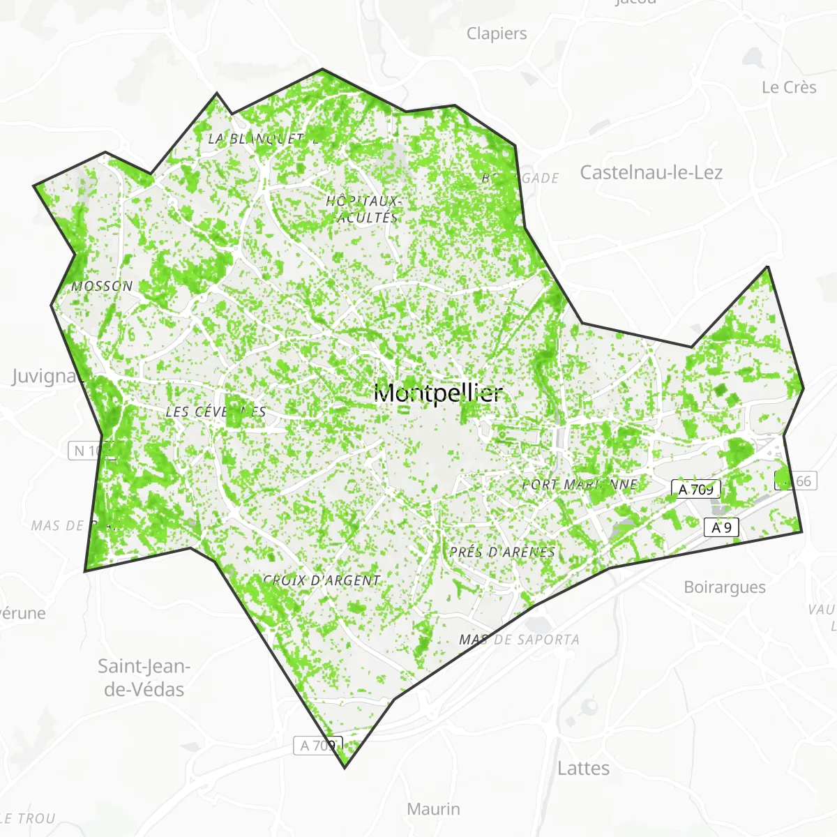 Zieleń — Montpellier