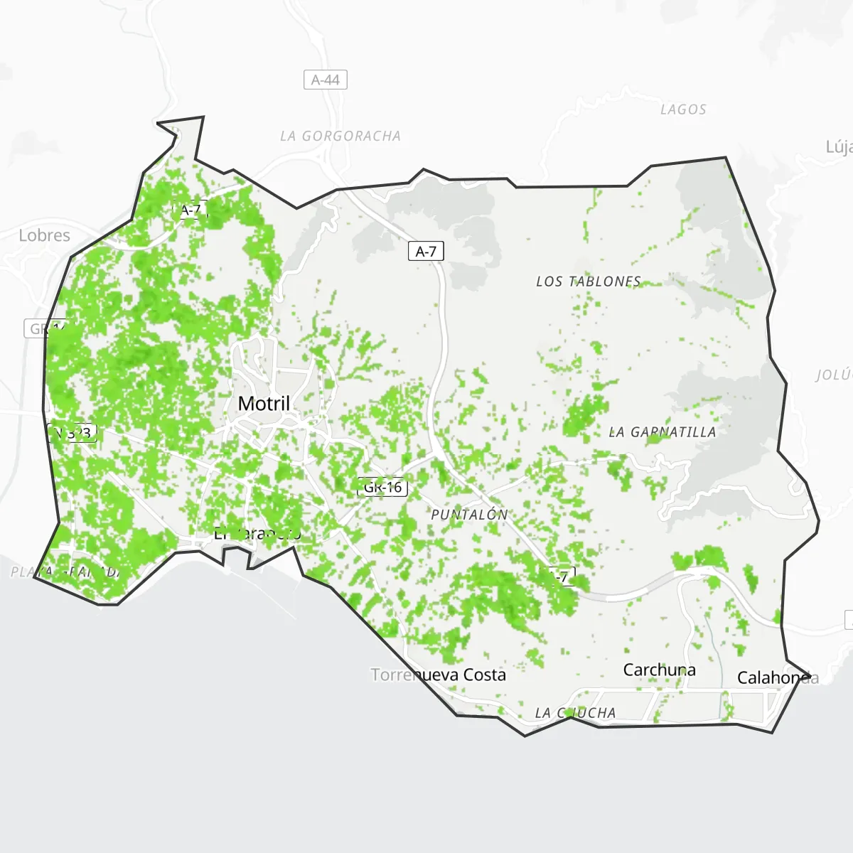 Green cover — Motril