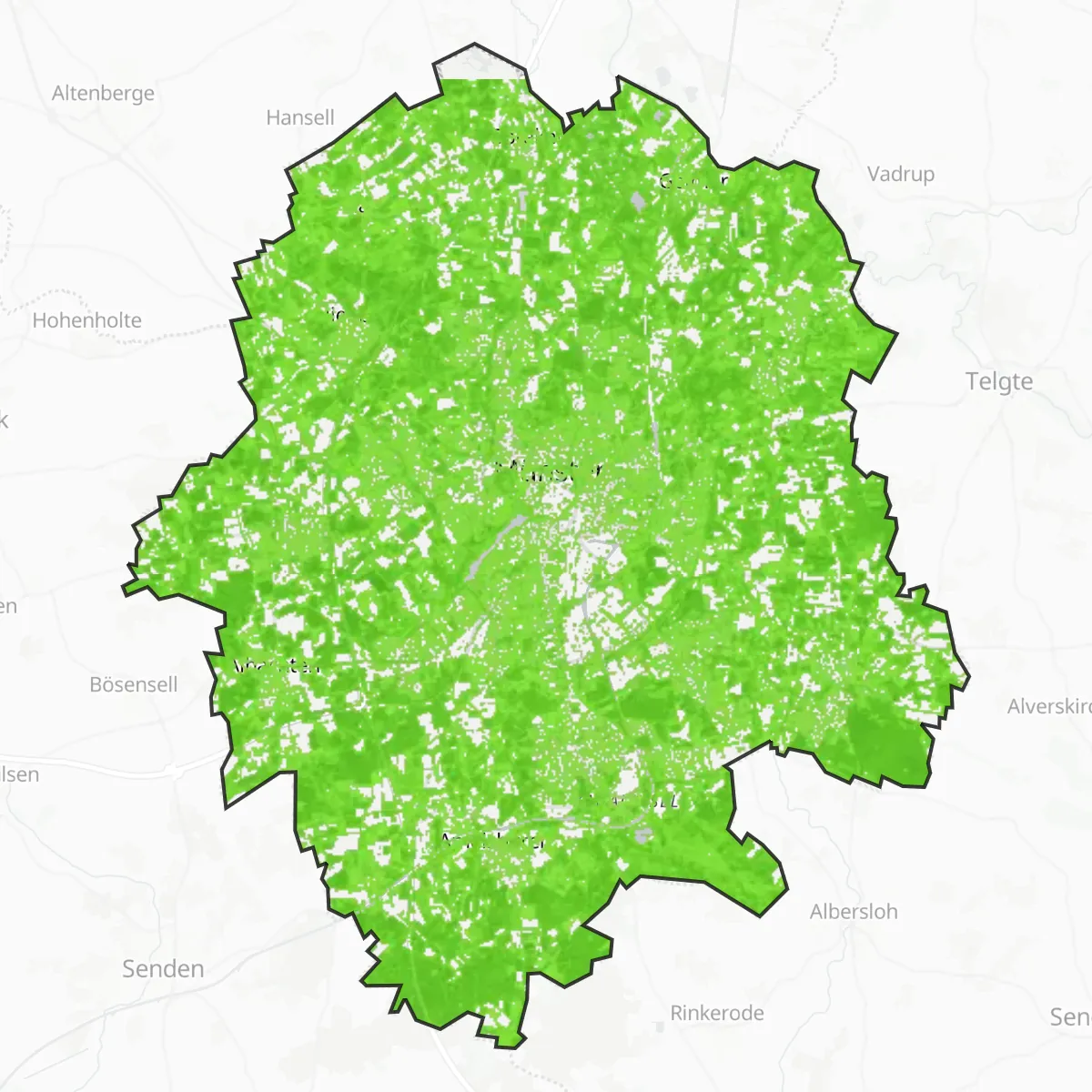 Coberta verda — Münster