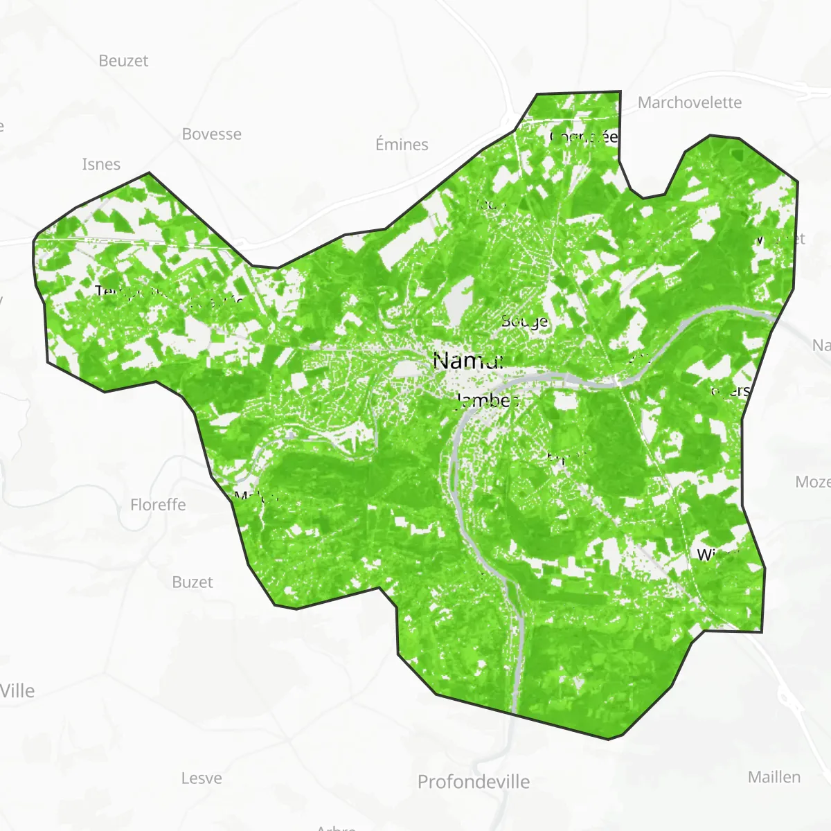 Zieleń — Namur