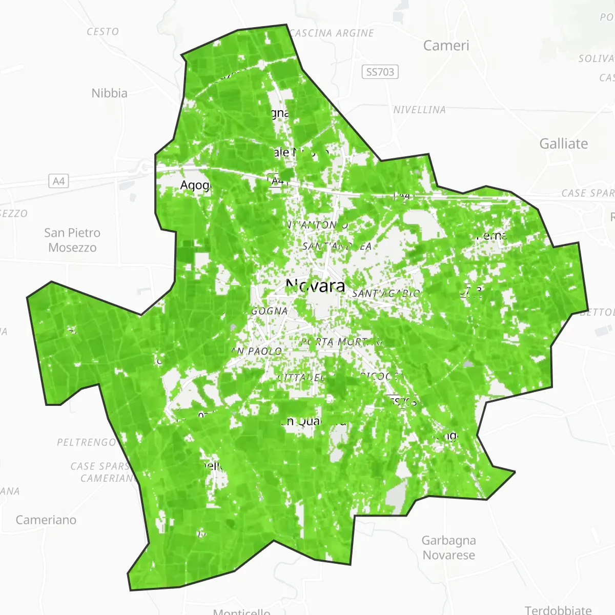 Žaluma — Novara