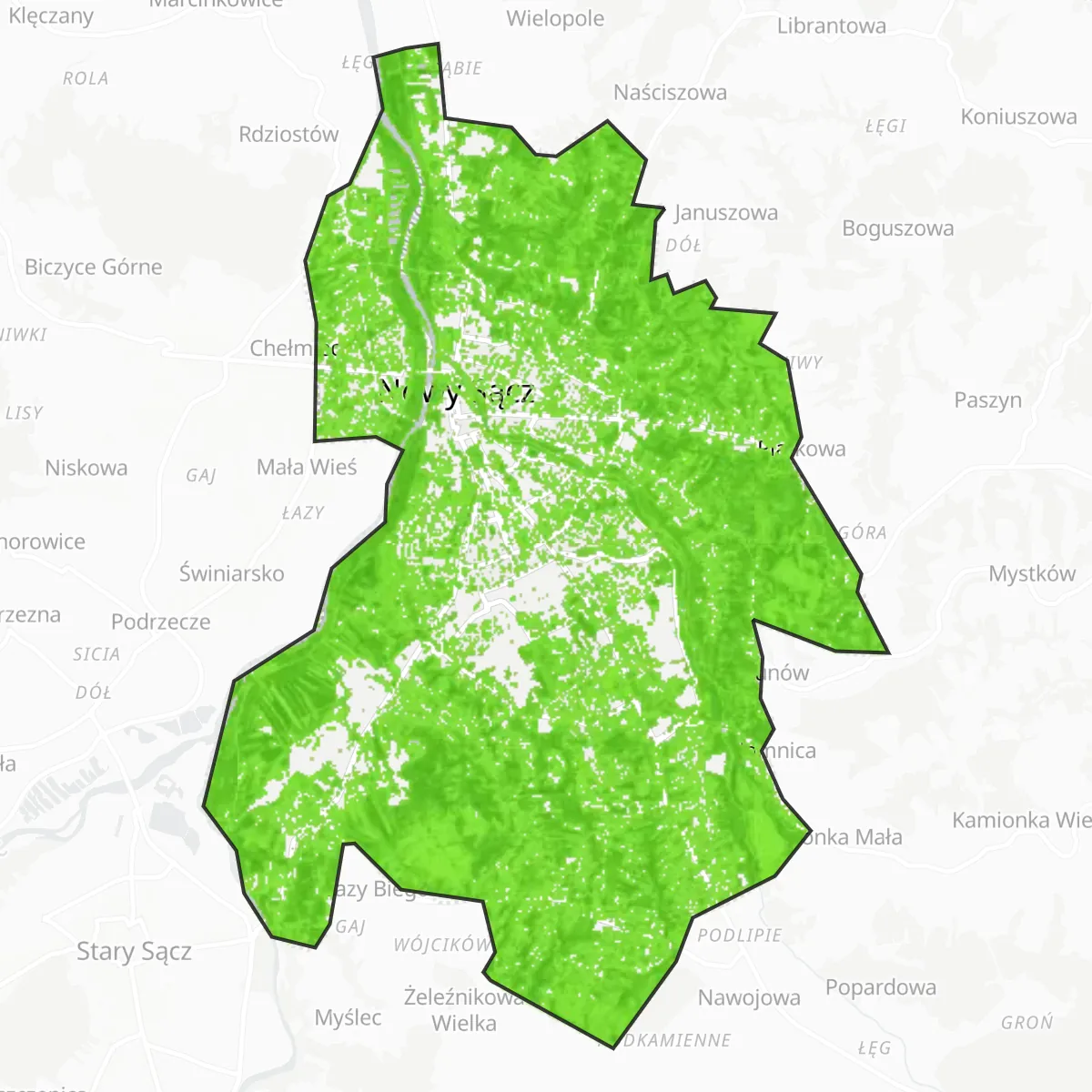 Zöldfelület — Nowy Sącz