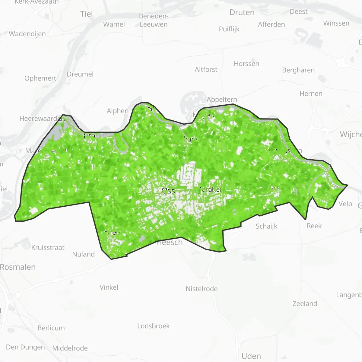 Žaluma — Oss