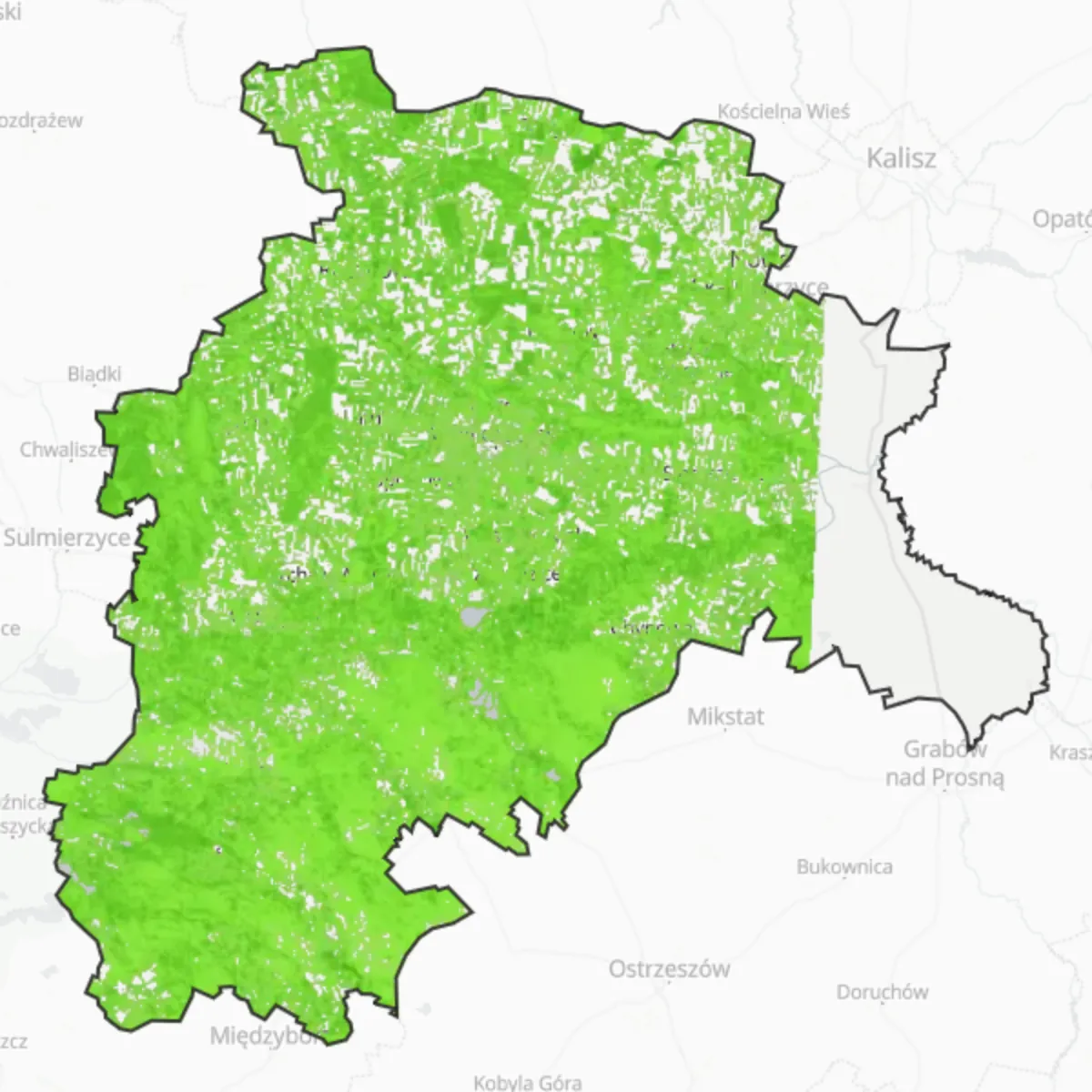 Vihreä peite — Ostrów Wielkopolski