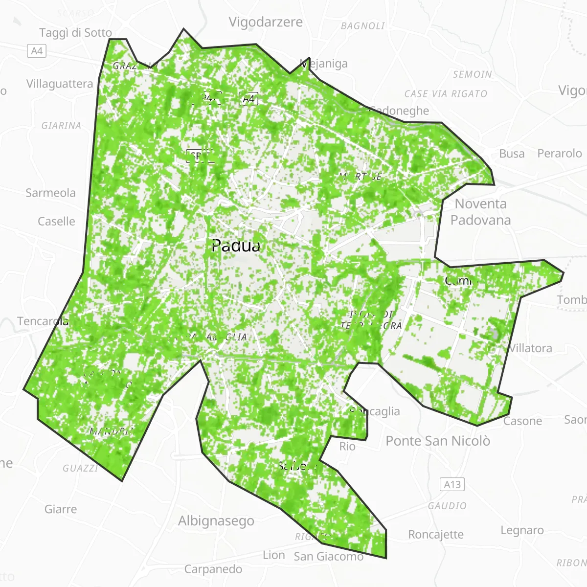 Zelený pokryv — Padova