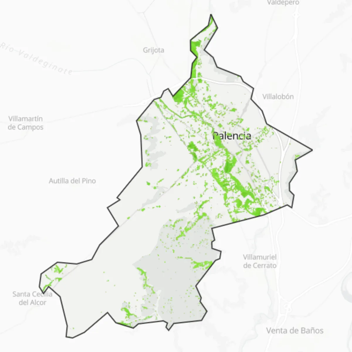 Zieleń — Palencia