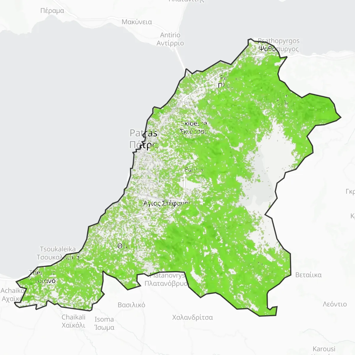 Zelený pokryv — Patra