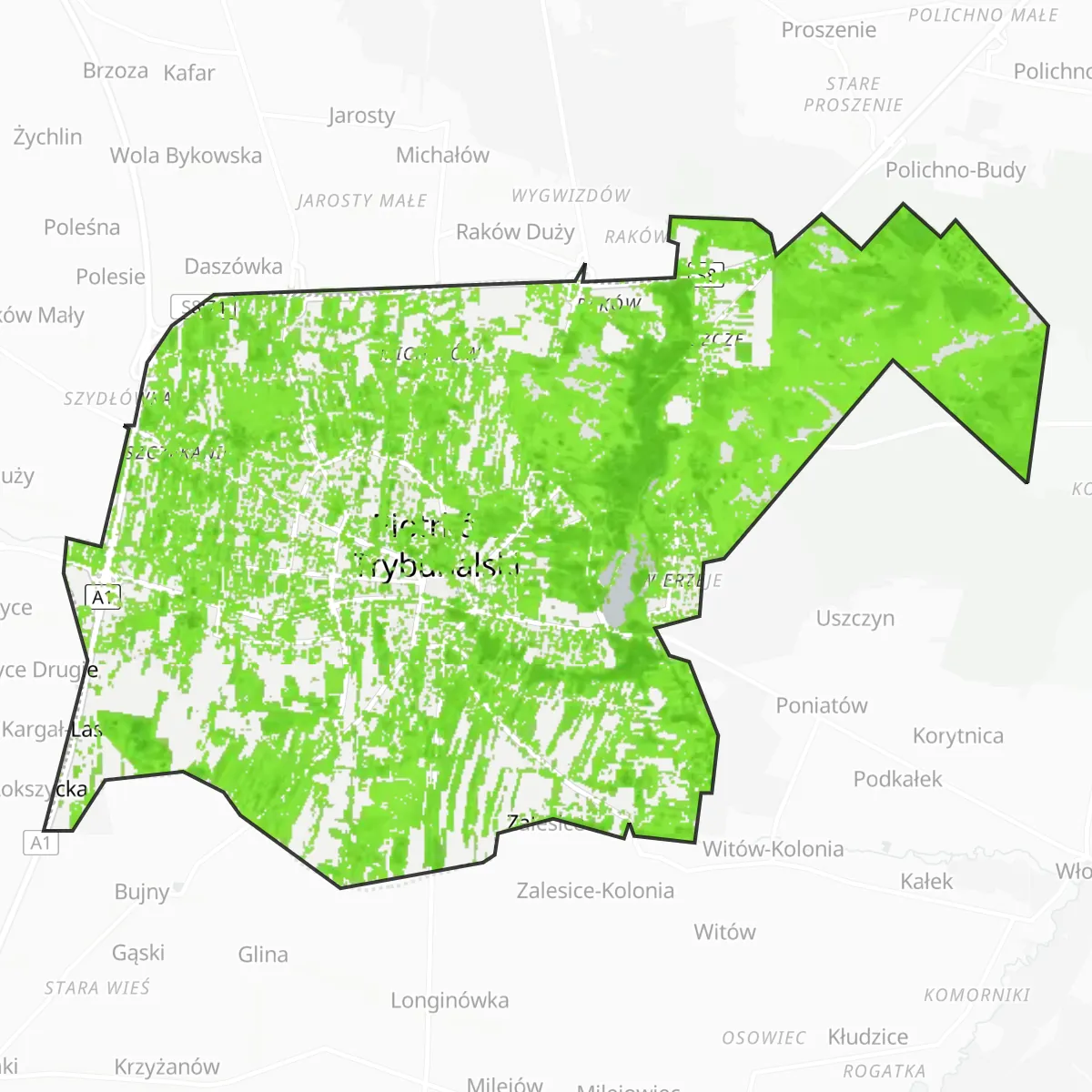 Zelený pokryv — Piotrków Trybunalski