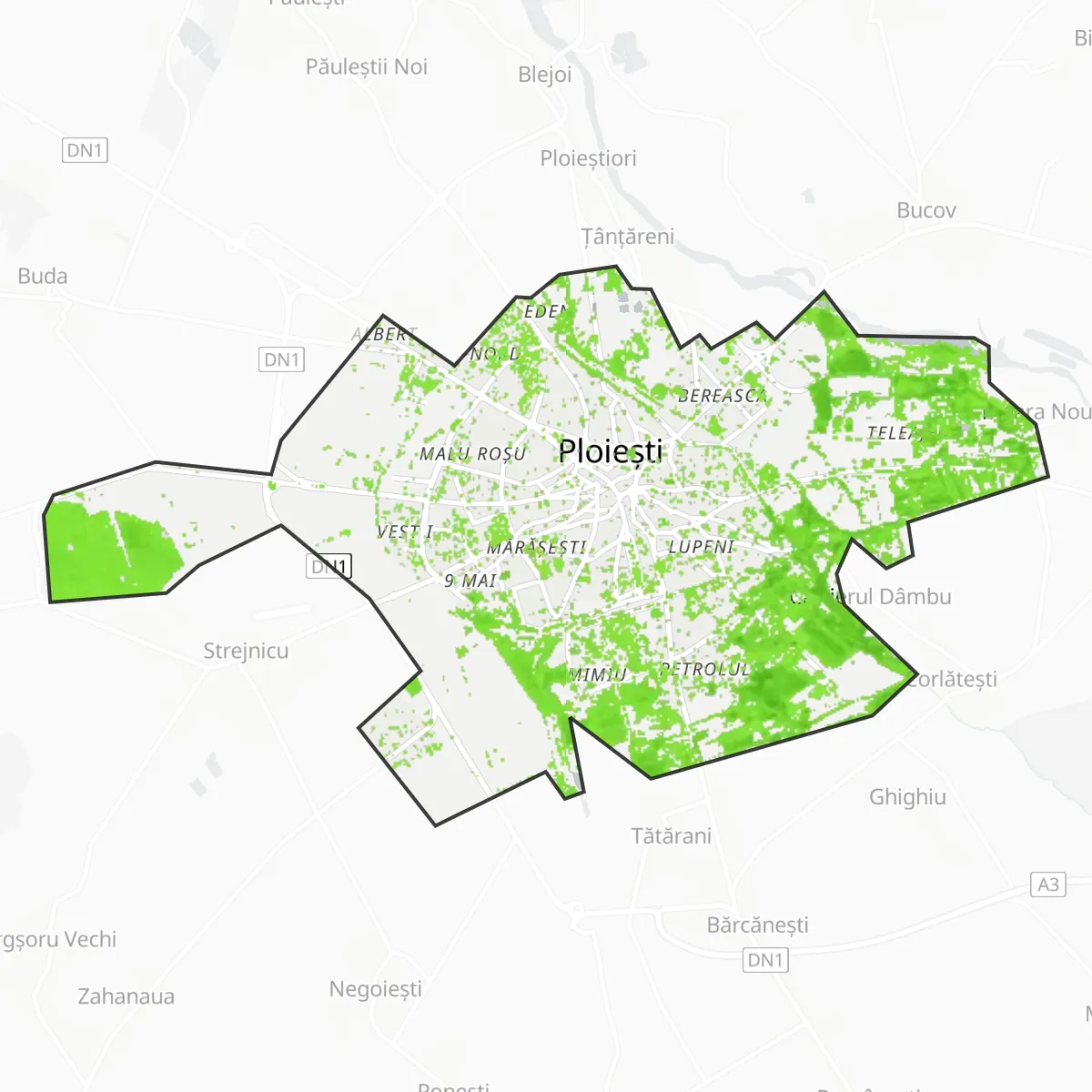 Grünfläche — Ploieşti