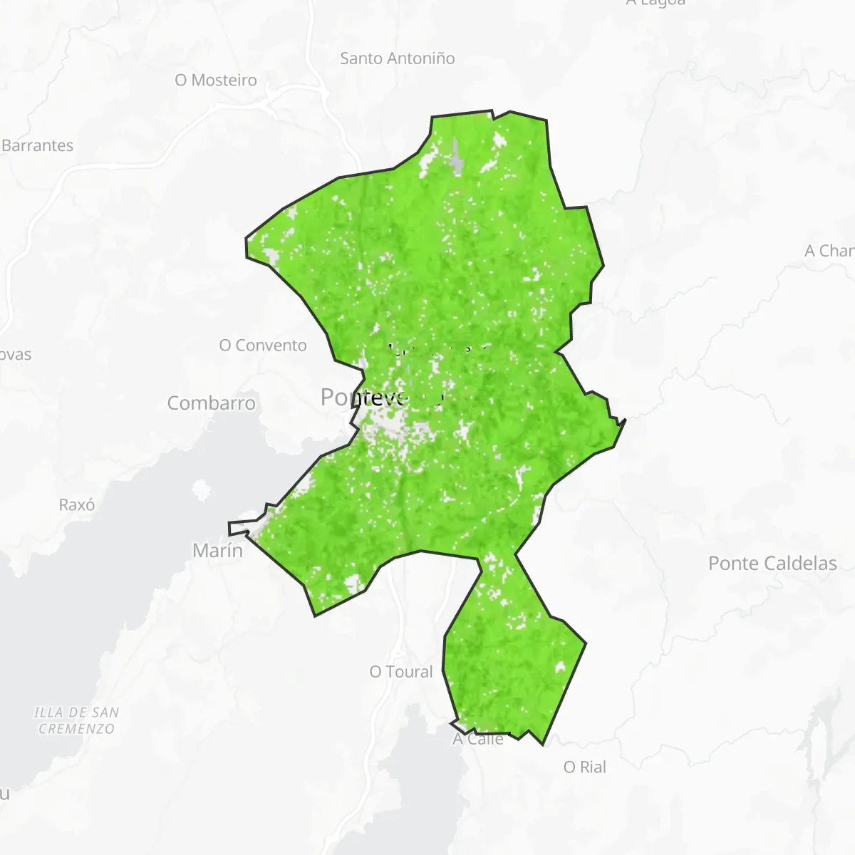 Groenbedekking — Pontevedra