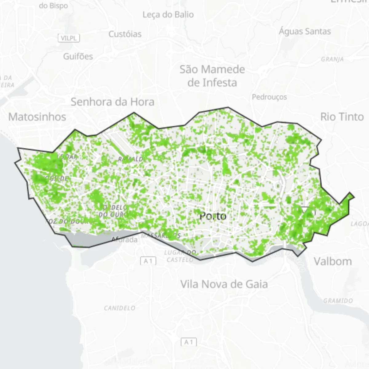Grünfläche — Porto