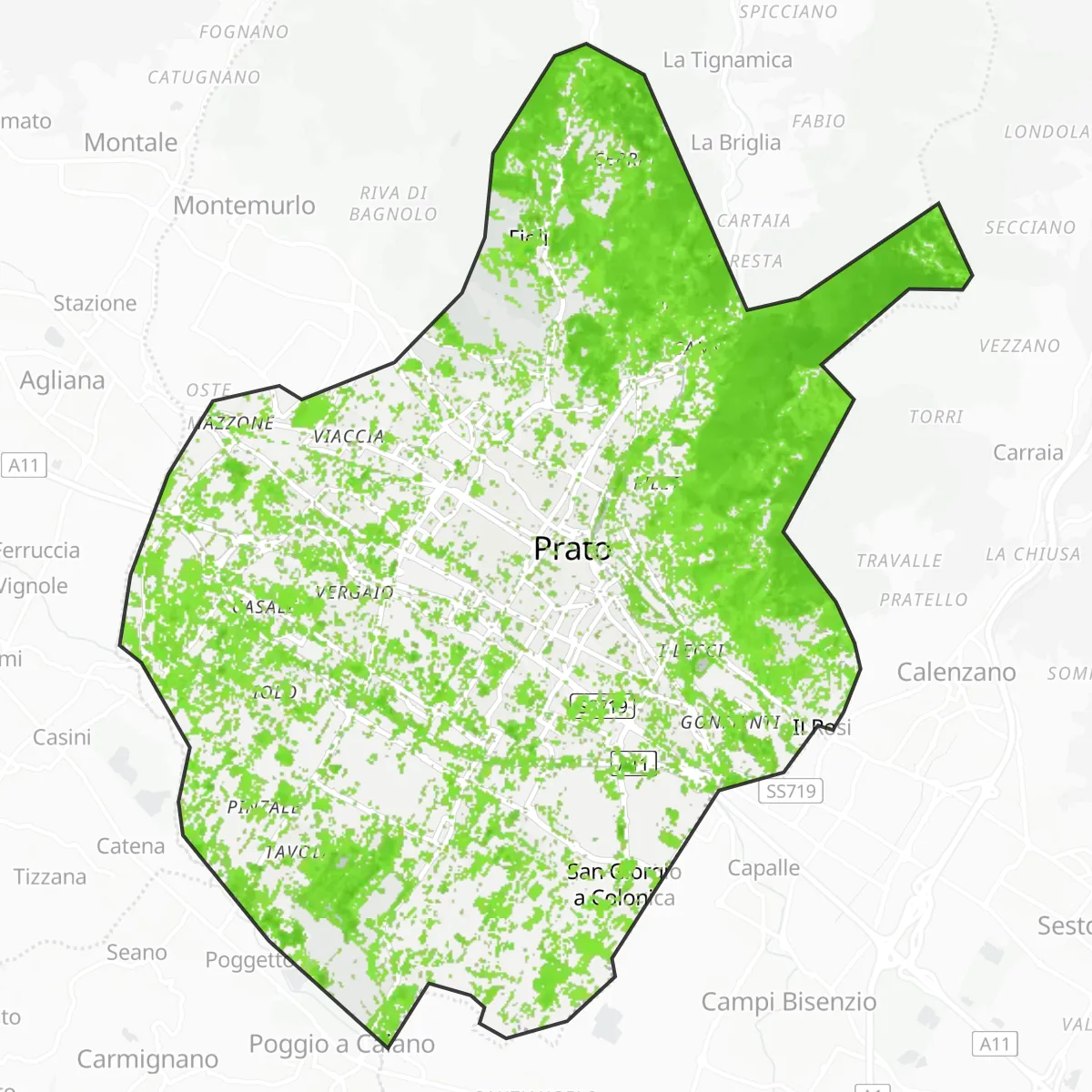 Copertura verde — Prato