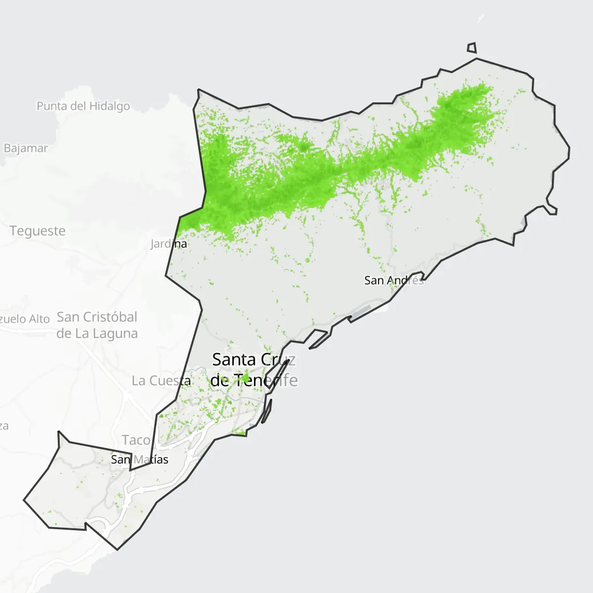 Zelenilo — Santa Cruz de Tenerife