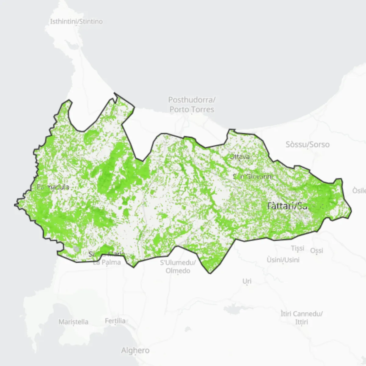 Coberta verda — Sàsser