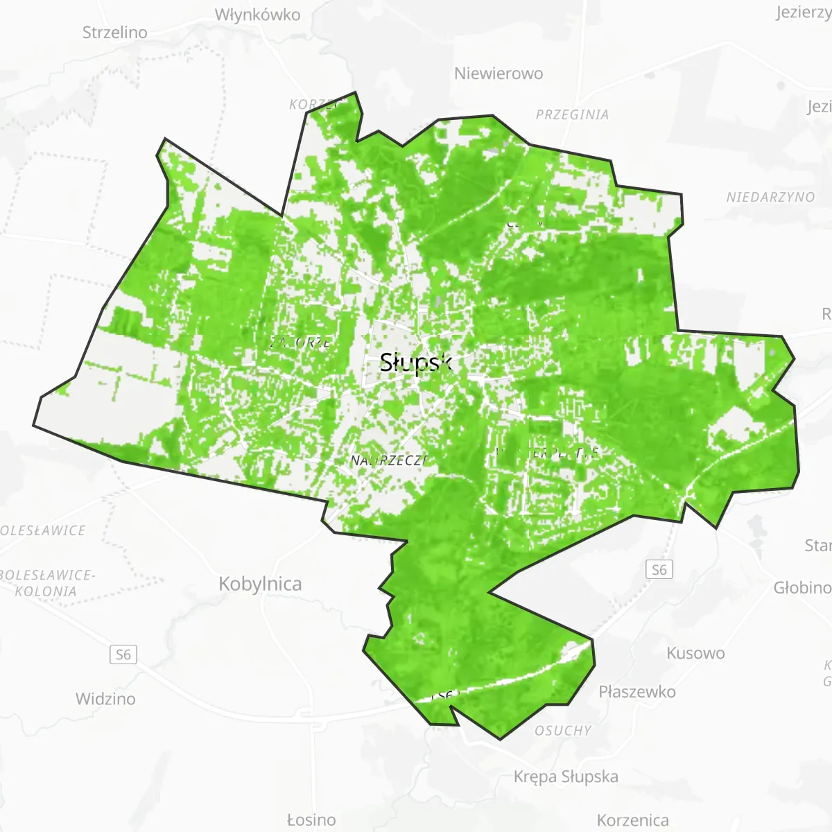 Grünfläche — Słupsk