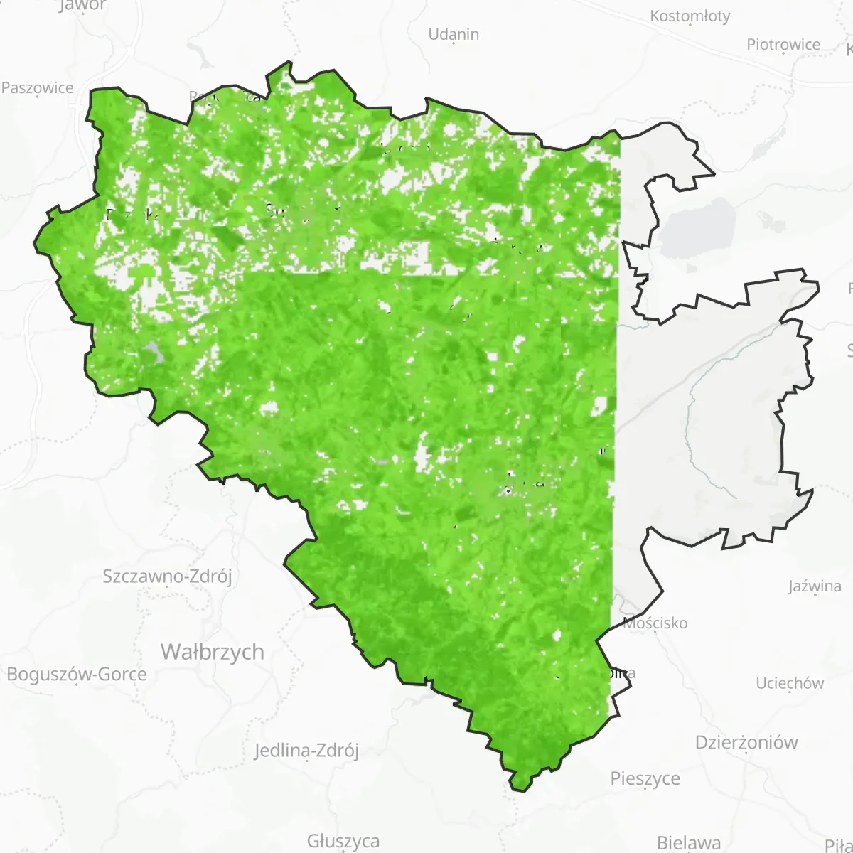 Växtlighet — Świdnica