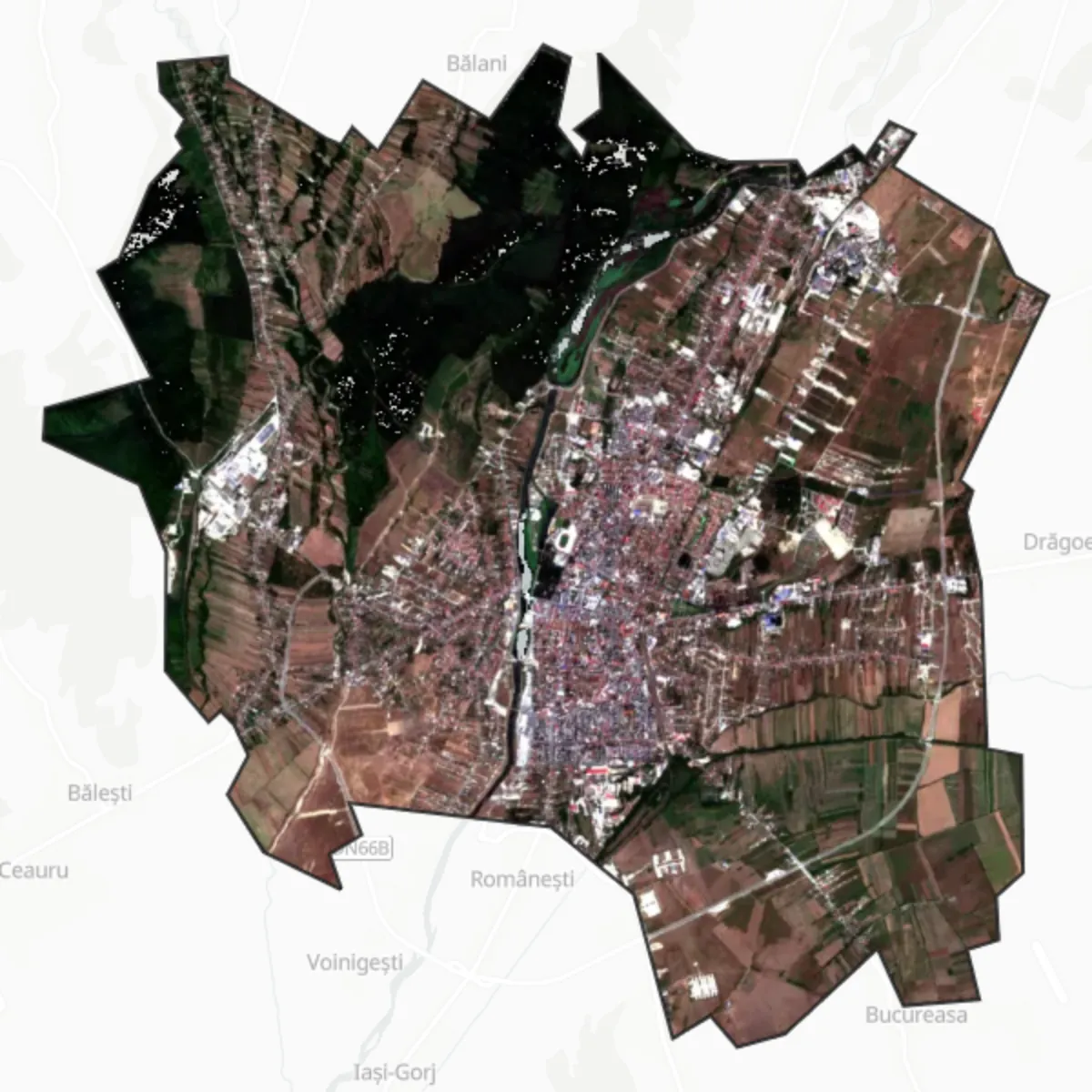 Palydovas — Târgu Jiu
