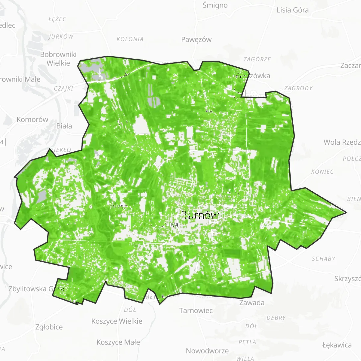 Coberta verda — Tarnów