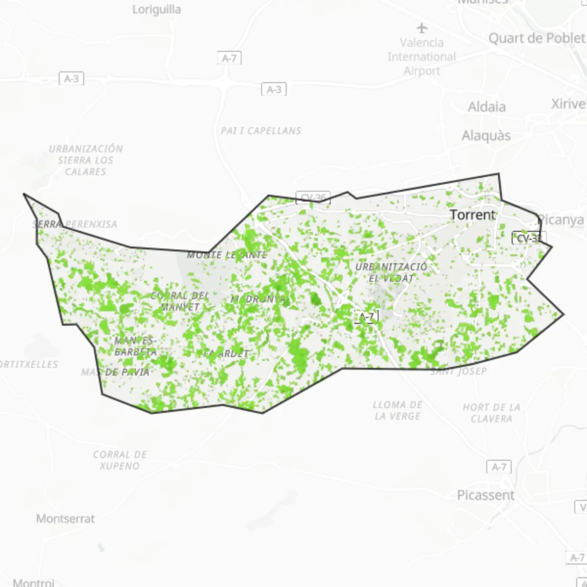 Zieleń — Torrent